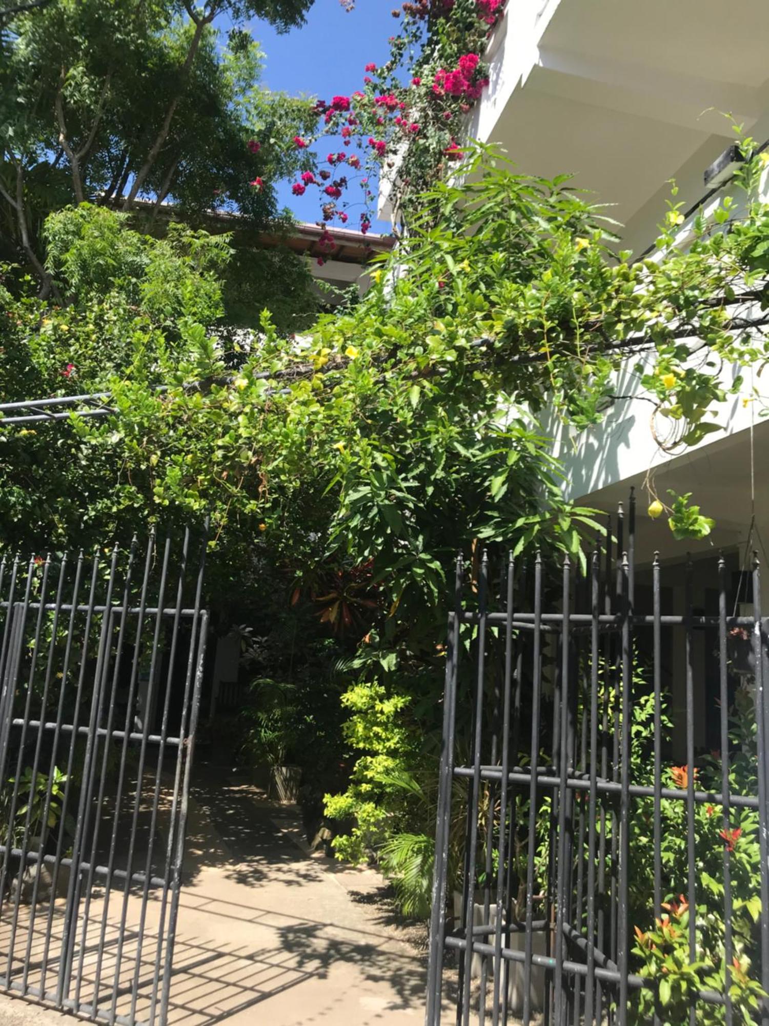 Unawatuna Beach Bungalow - Exterior photo