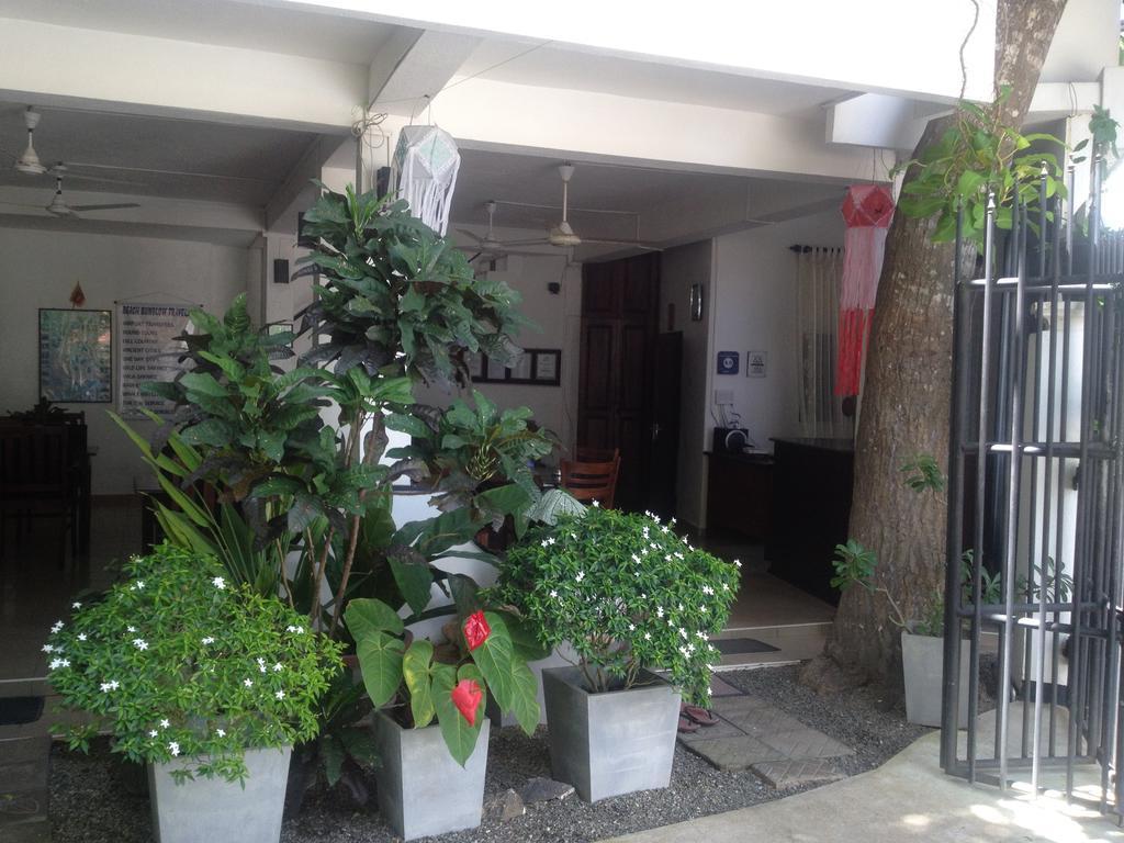 Unawatuna Beach Bungalow - Exterior photo