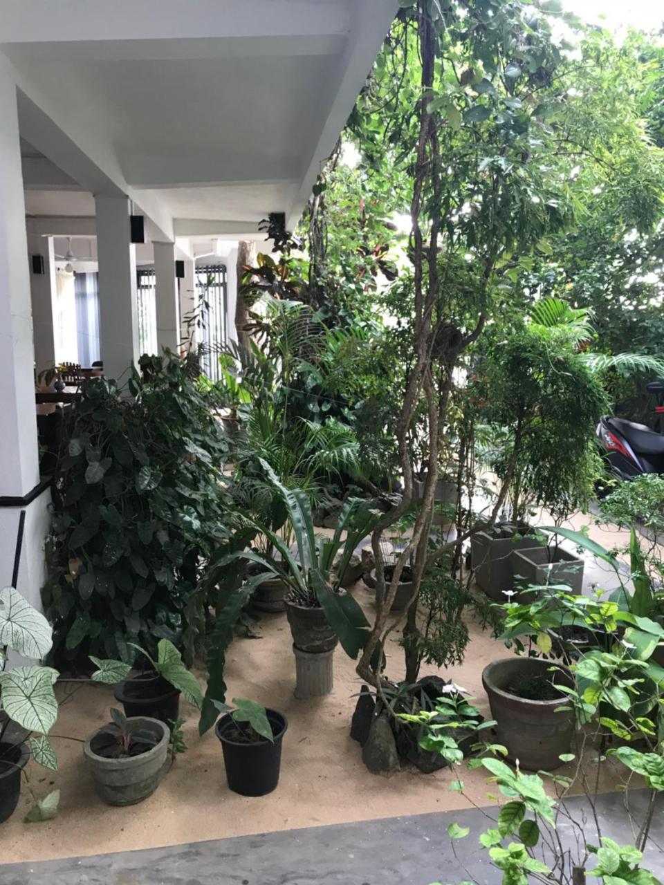 Unawatuna Beach Bungalow - Exterior photo